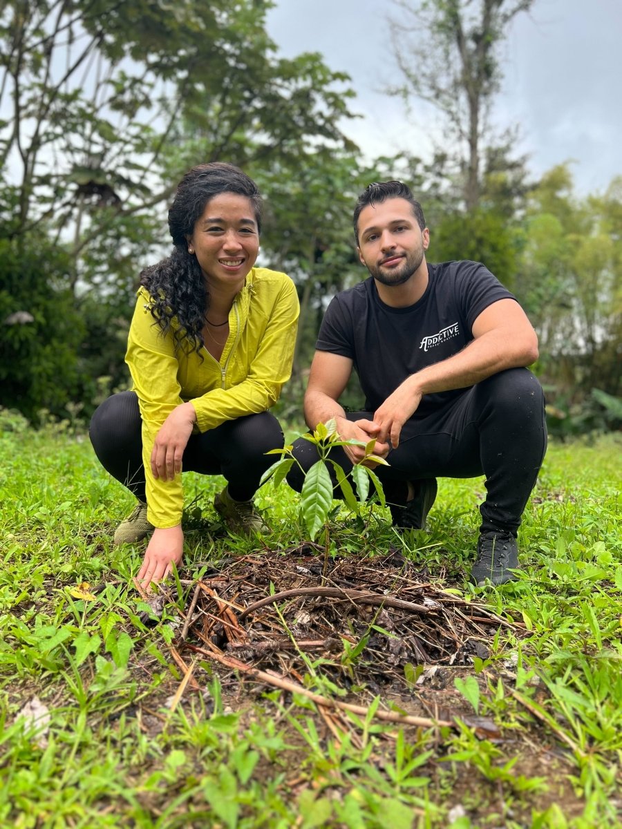 Visiting Puerto Rico's Forgotten Forest: A Journey into Specialty Coffee and Sustainability - Brewpoint Coffee
